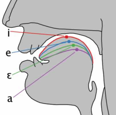 Lesson image