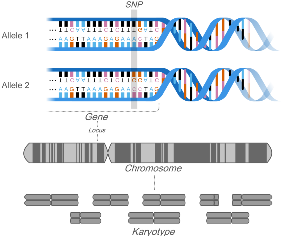 Lesson image