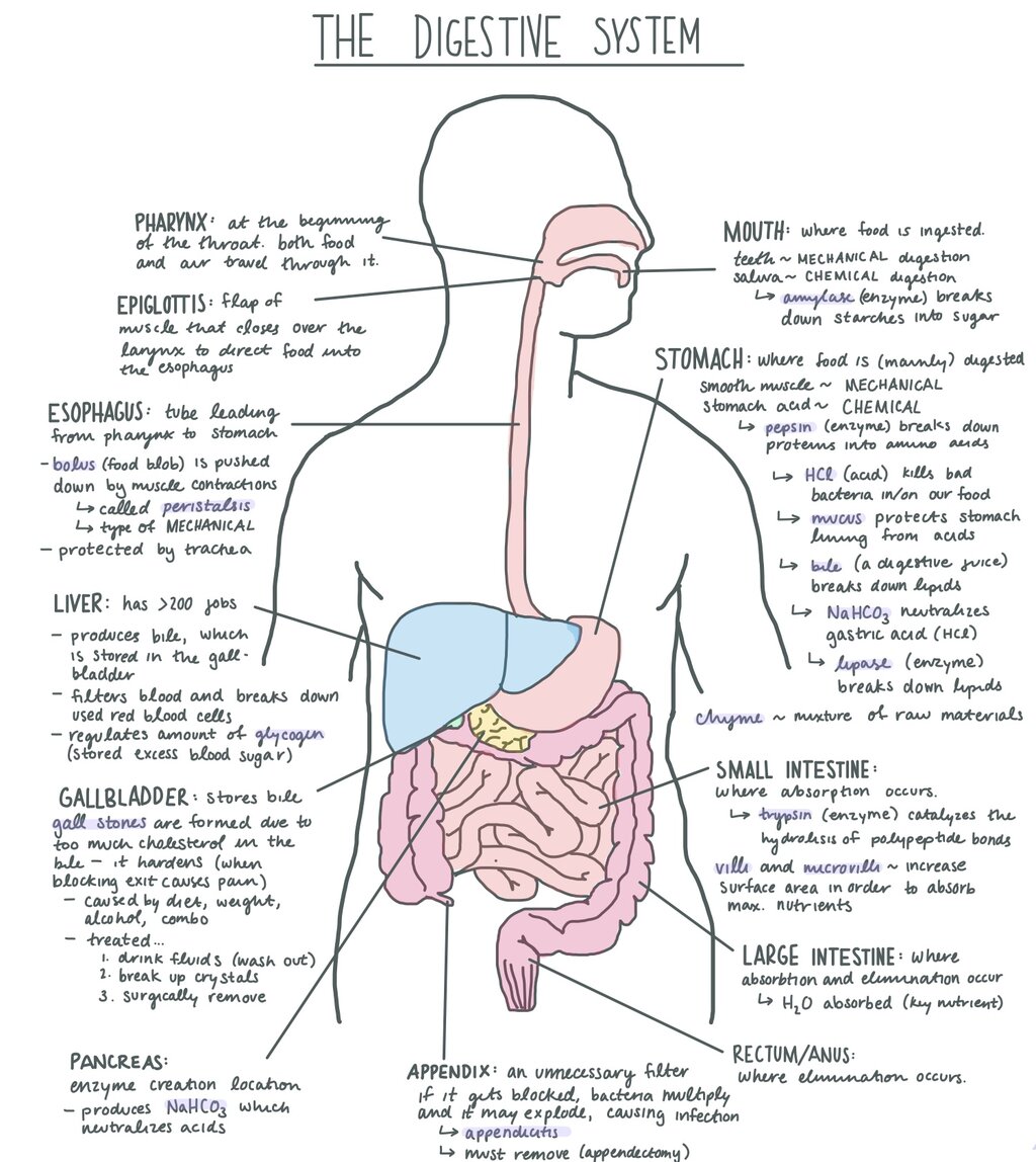 Lesson image
