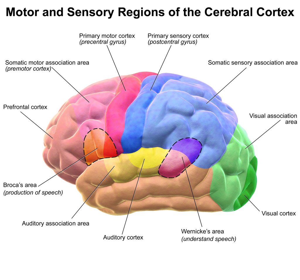 Lesson image