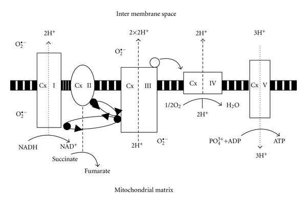 Lesson image