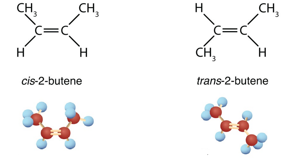 Lesson image