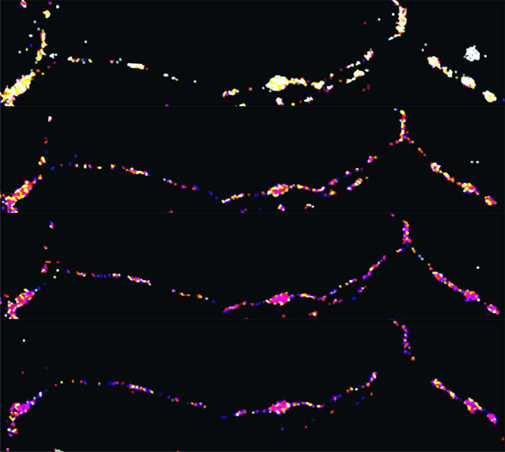 Lesson image