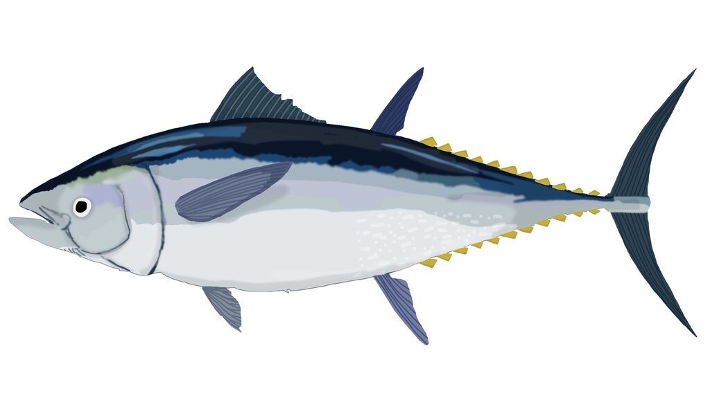 Lesson image