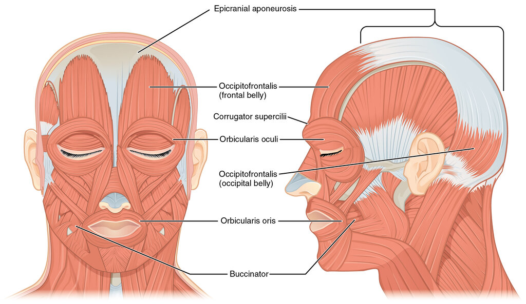 Lesson image