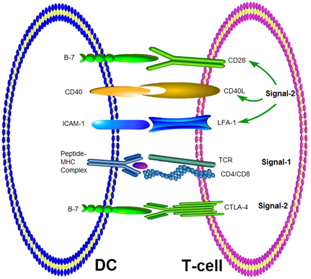 Lesson image