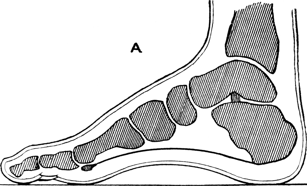 Lesson image