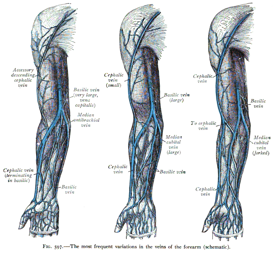 Lesson image