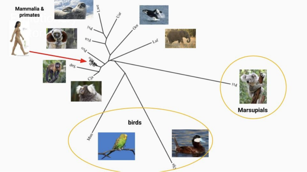 Lesson image