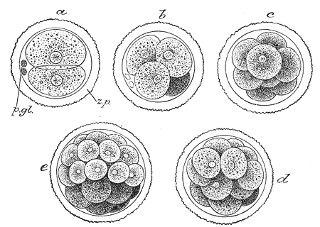 Lesson image