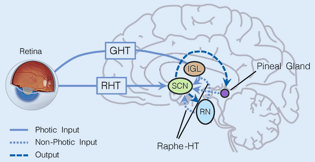 Lesson image