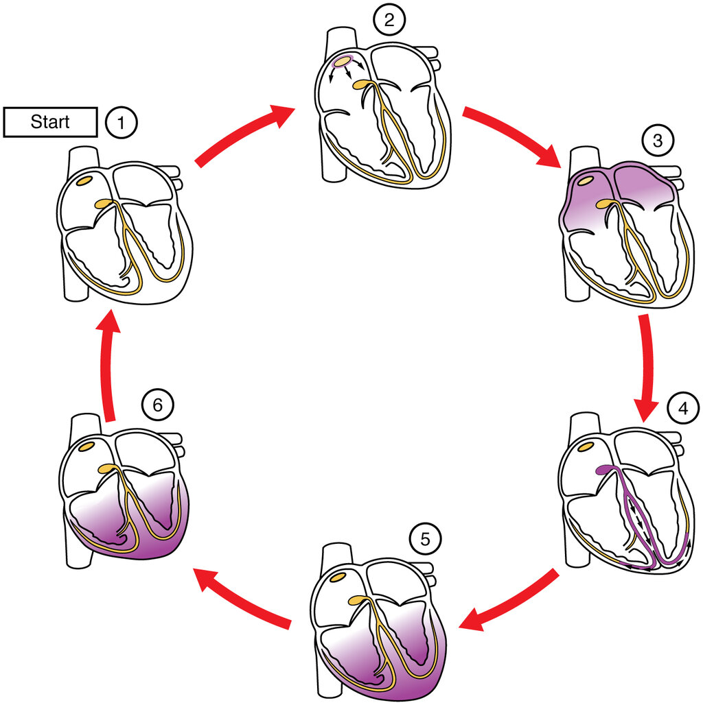 Lesson image