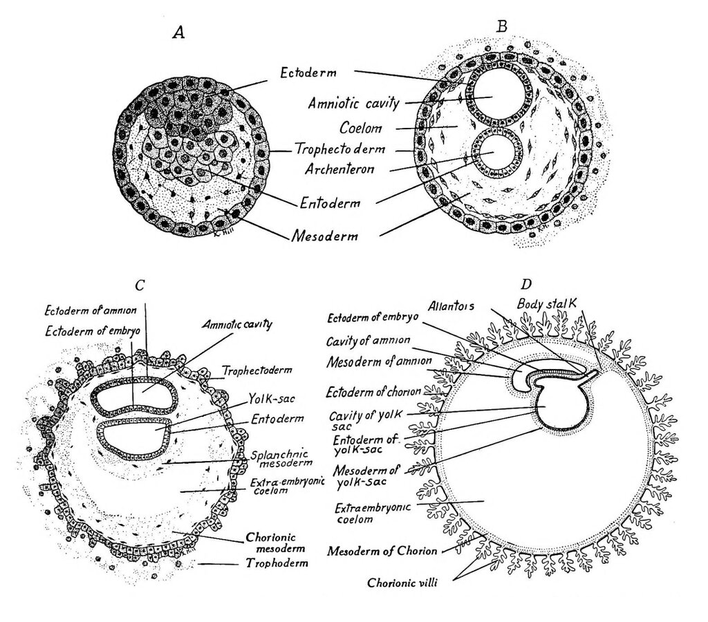 Lesson image