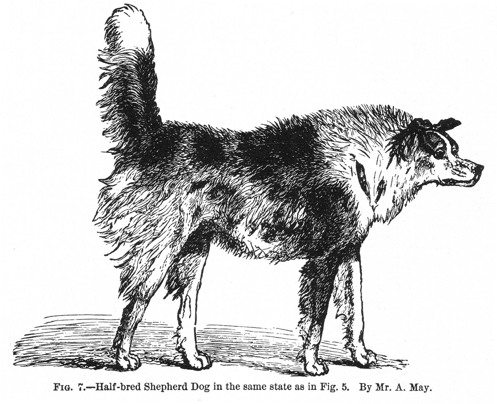 Lesson image