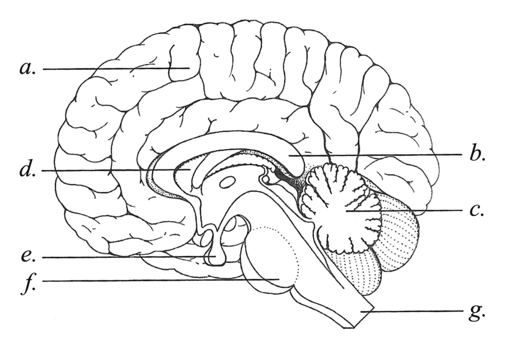 Lesson image