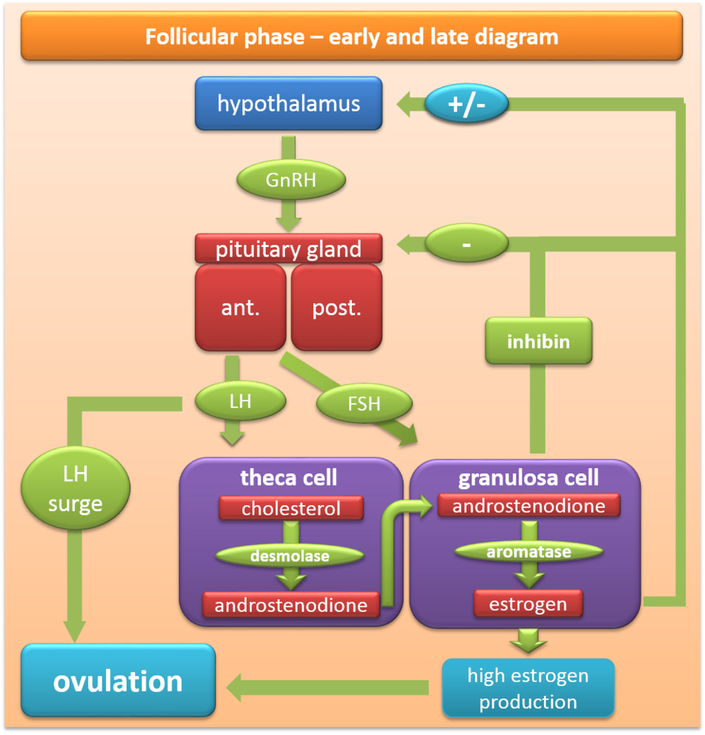 Lesson image