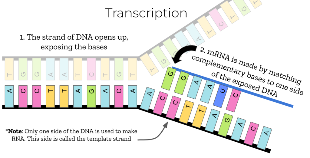Lesson image