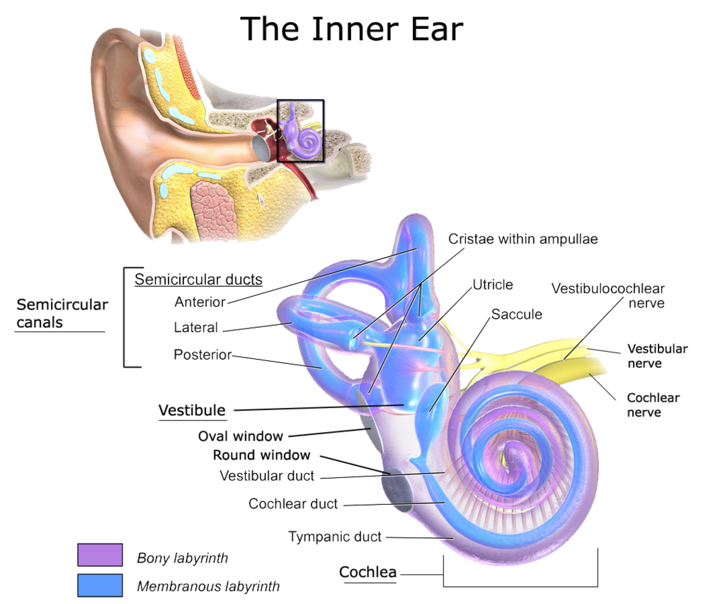 Lesson image