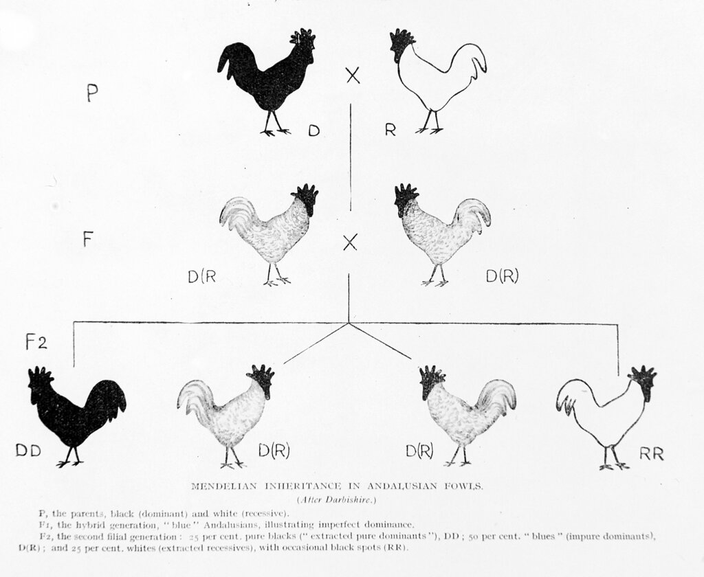 Lesson image
