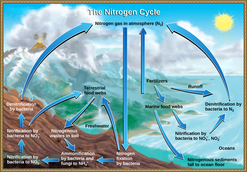 Lesson image