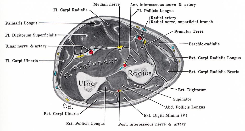 Lesson image