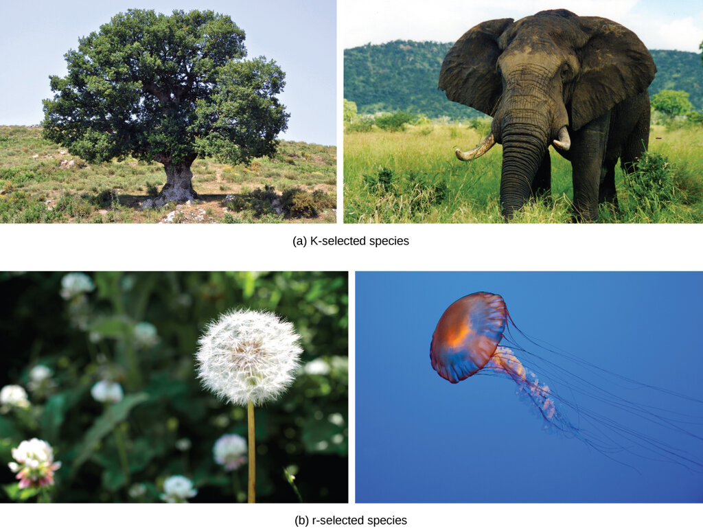 Lesson image