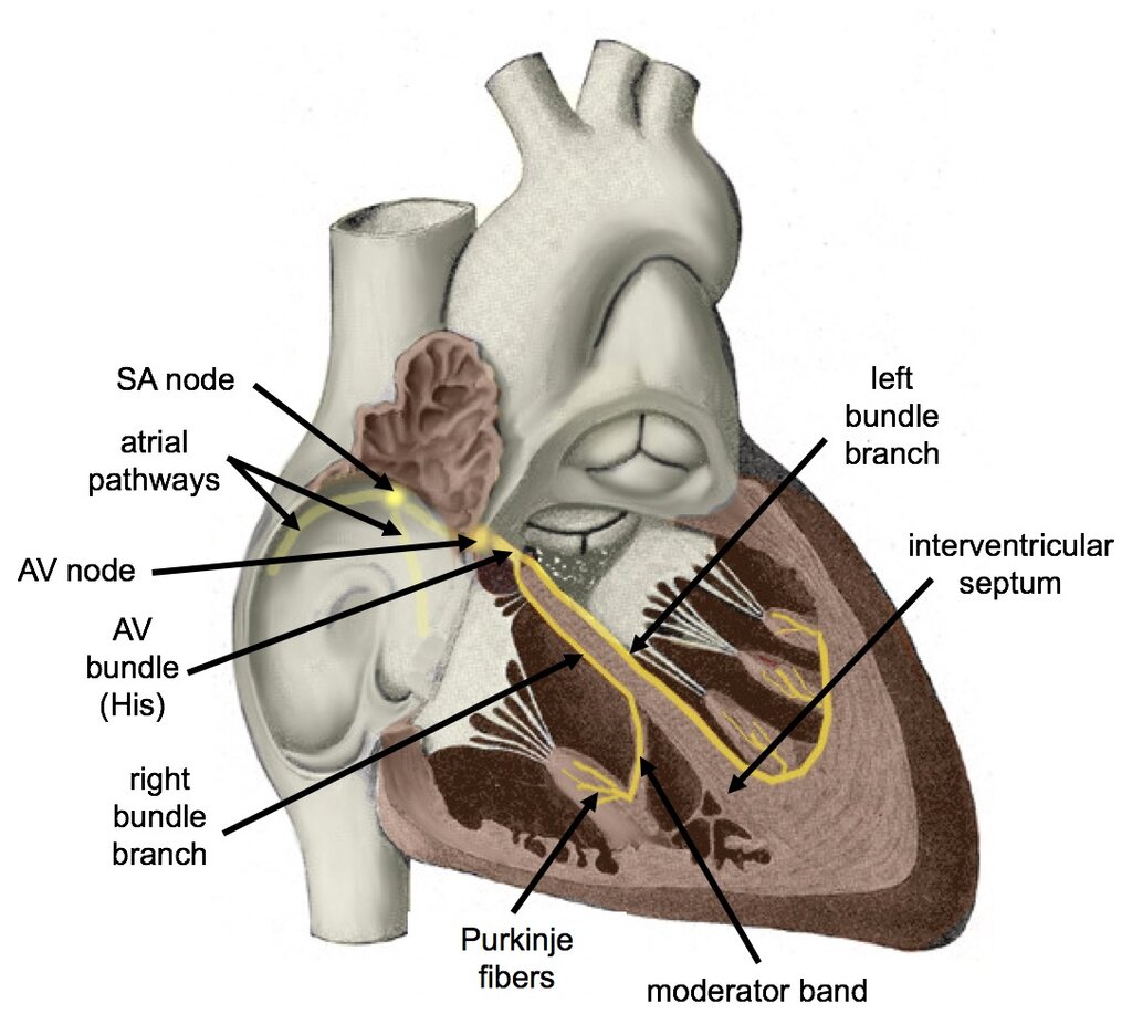 Lesson image