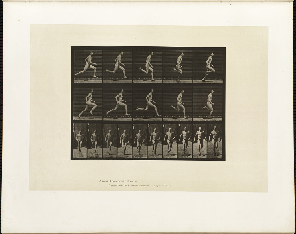 Lesson image