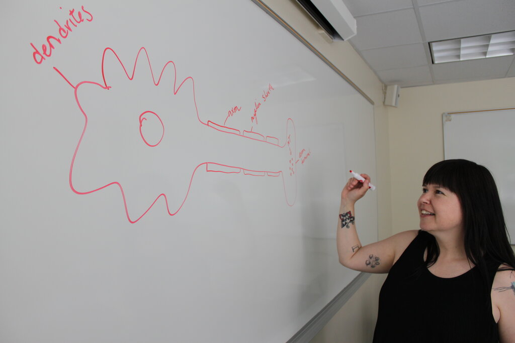 Lesson image