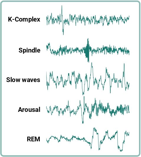 Lesson image
