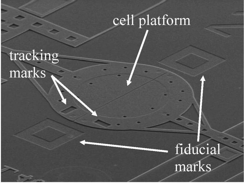 Lesson image