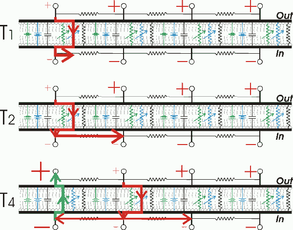 Lesson image
