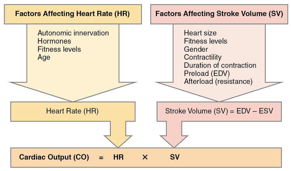 Lesson image