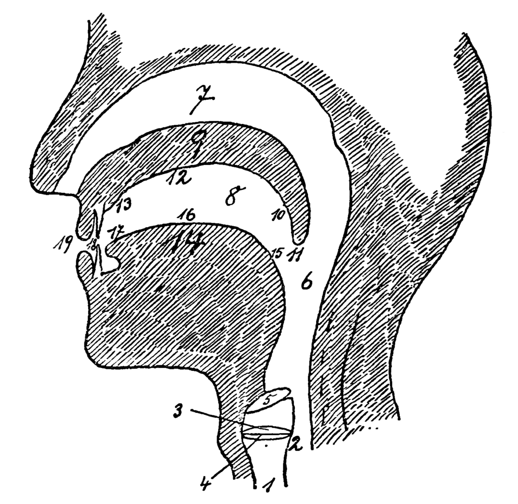 Lesson image