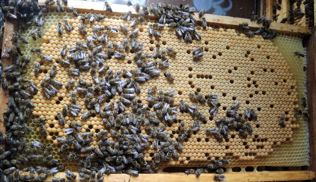Lesson image
