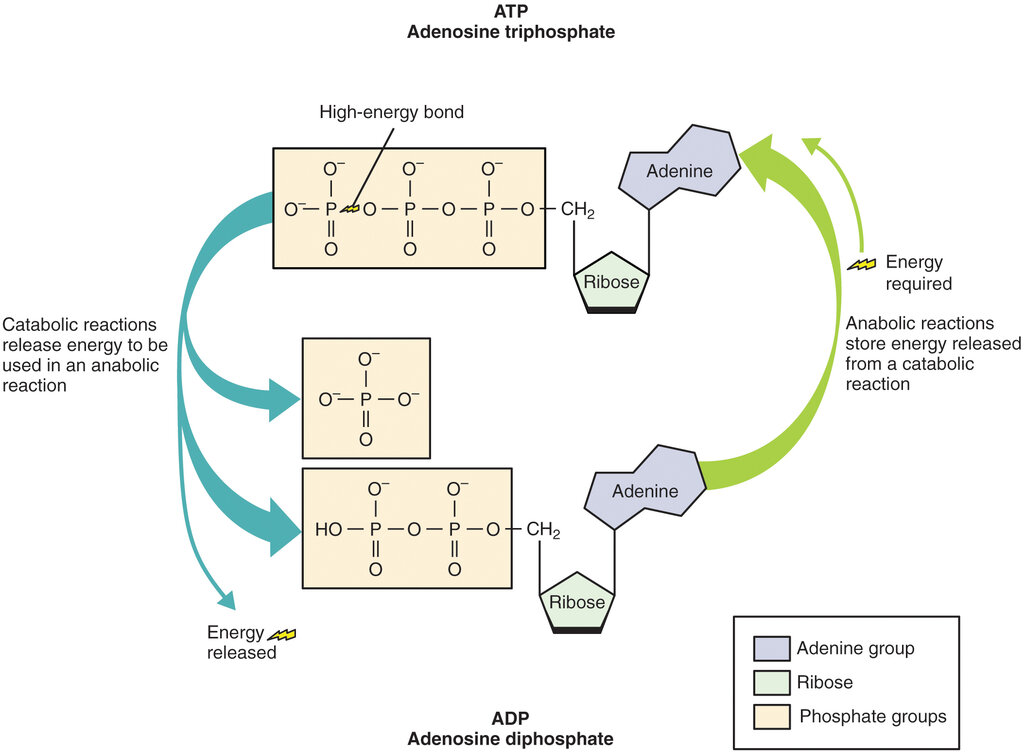 Lesson image