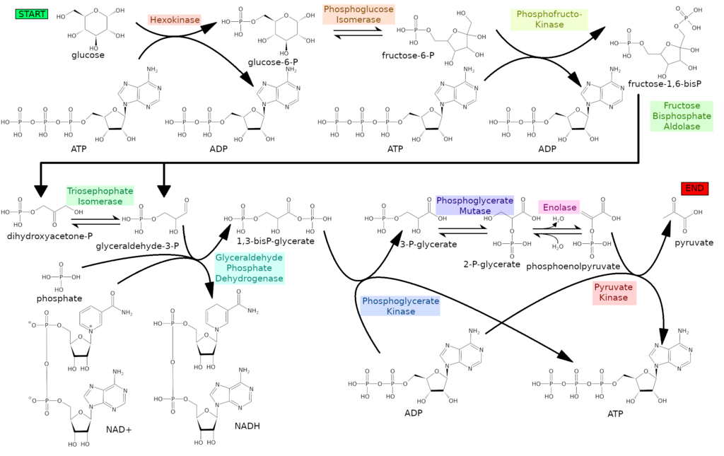 Lesson image