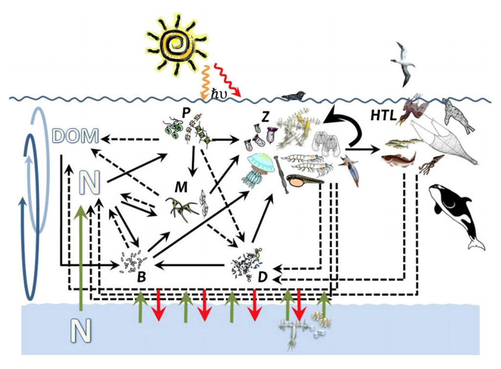 Lesson image