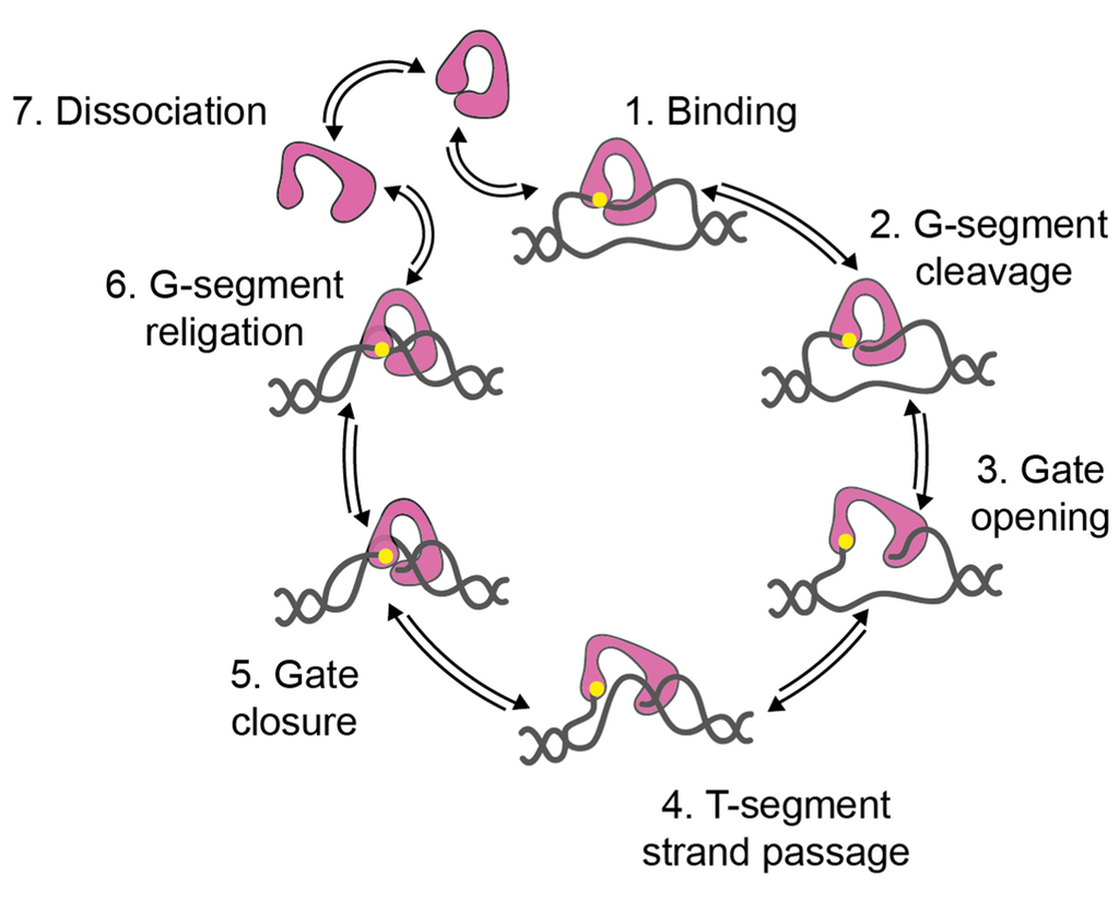 Lesson image