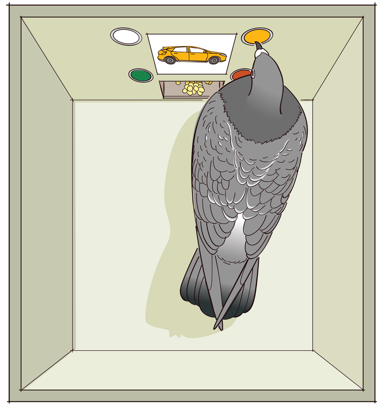 Lesson image