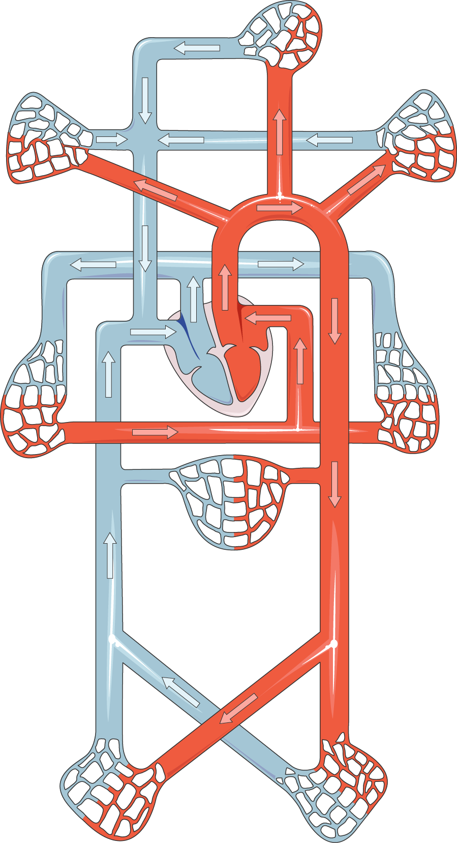 Lesson image