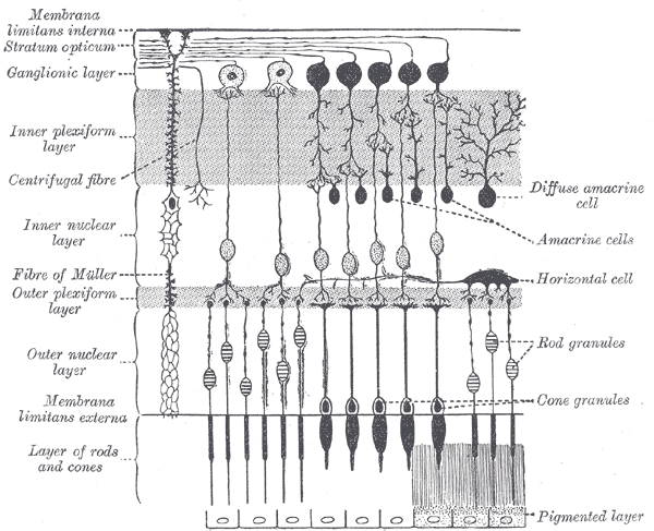 Lesson image