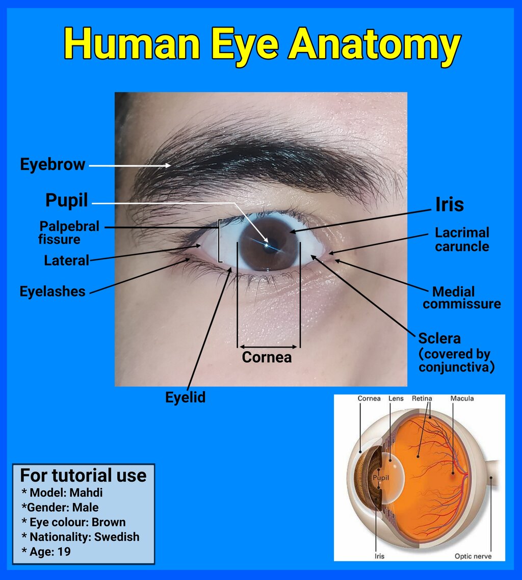 Lesson image