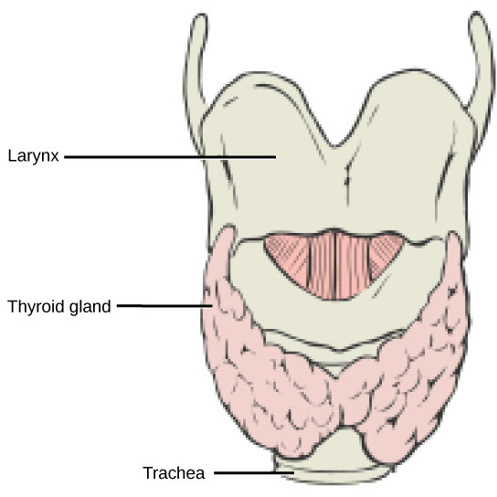 Lesson image