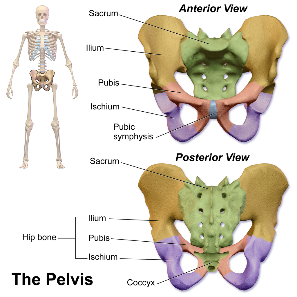 Lesson image