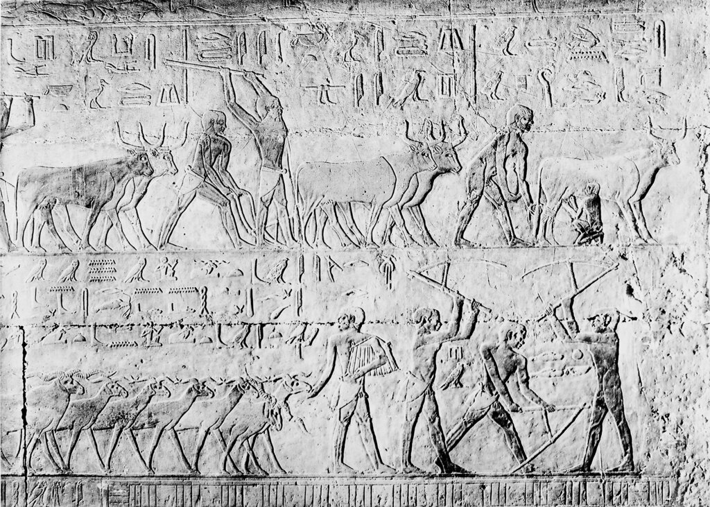 Lesson image