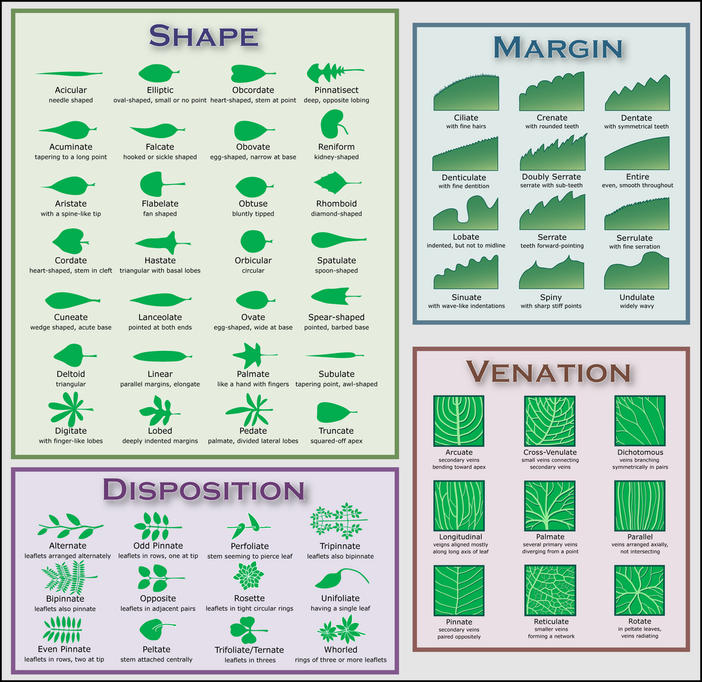 Lesson image