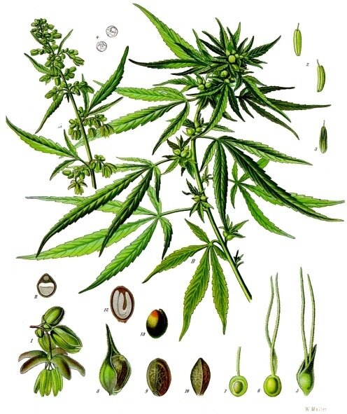 Lesson image