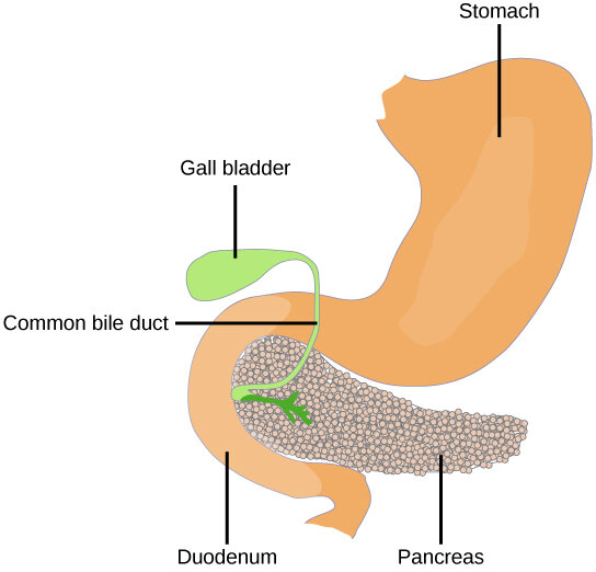 Lesson image
