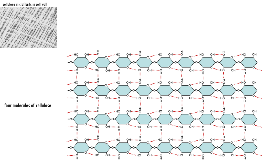 Lesson image